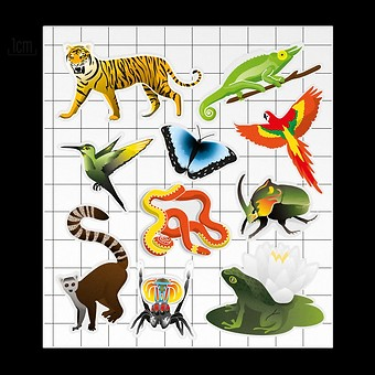 REFLECTIVE BERLIN リフレクティブベルリン KIDS キッズ JUNGLE ジャングル