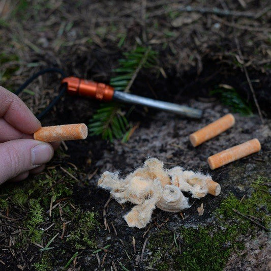 6月限定キャンペーン